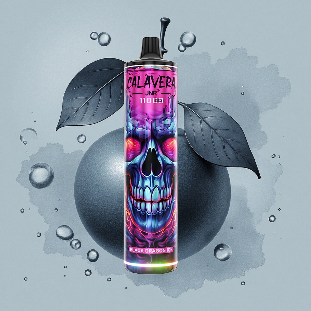 JNR Calavera 11000 Черен Дракон Лед Тип-C 850 мАч 21 мл