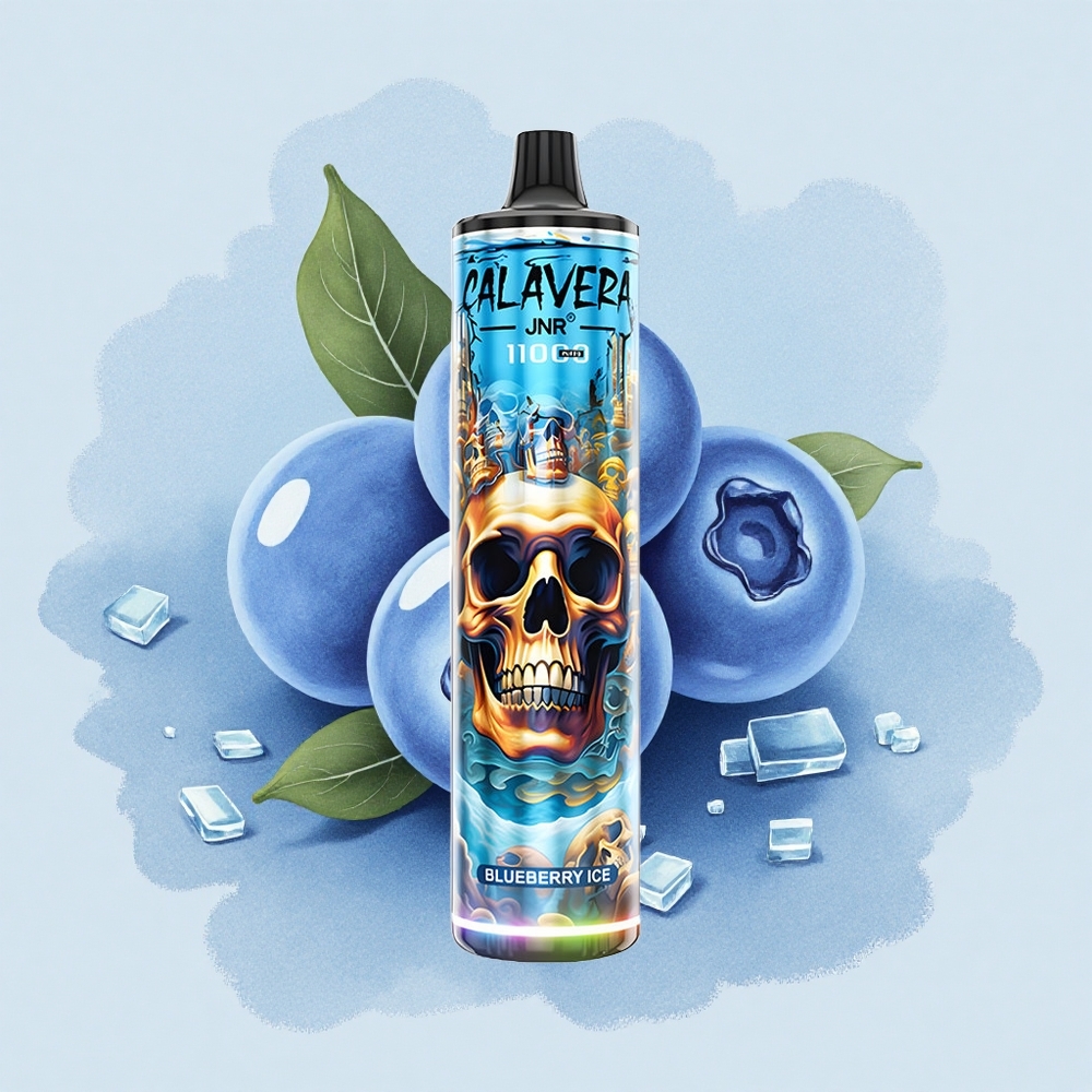JNR Calavera 11000 Боровинков Лед Тип-C 850 мАч 21 мл