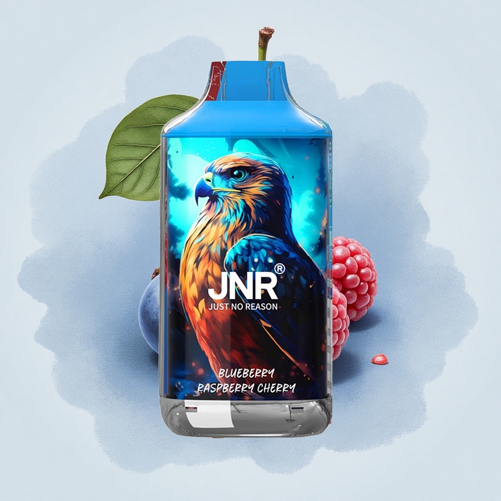 JNR Falcon 16000 Боровинка Малина Череша Двойна Мрежа 850 mAh Type C