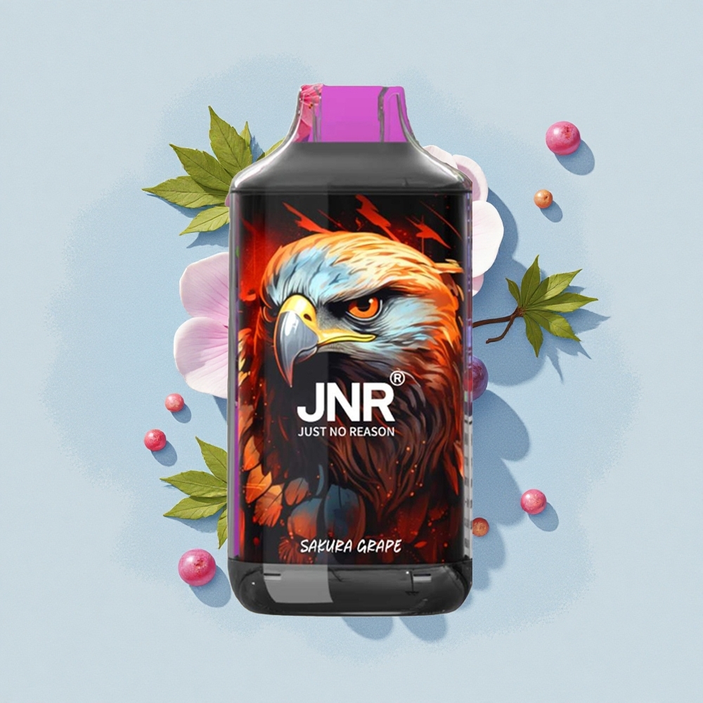 JNR Falcon 16000 Сакурова Грозде Dual Mesh 850 mAh Type C