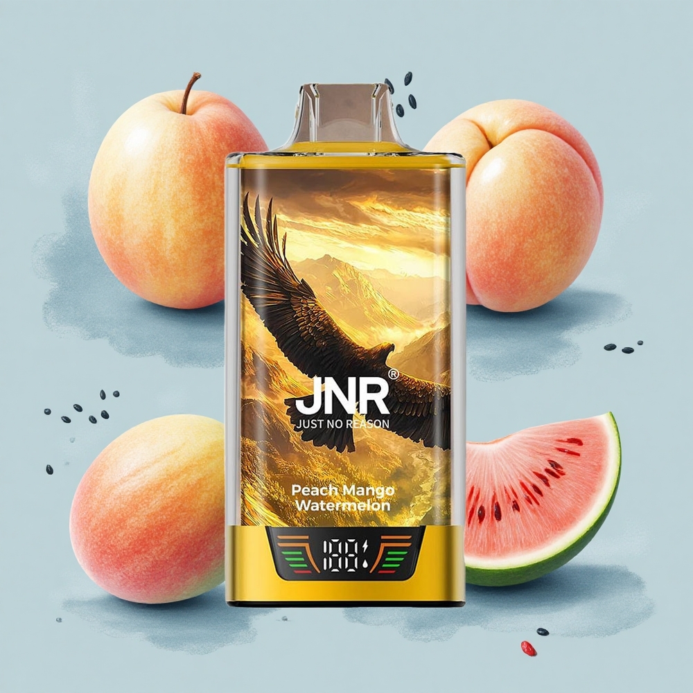 JNR Falcon Pro 28000 Праскова Манго Диня 30мл 5% USB-C