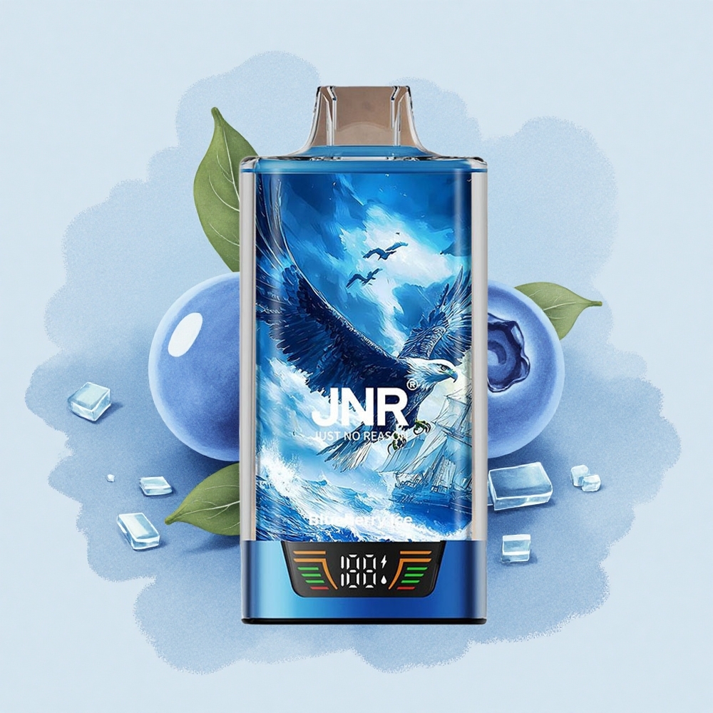 JNR Falcon Pro 28000 Боровинков Лед с USB Type-C и Dual Mesh Coil