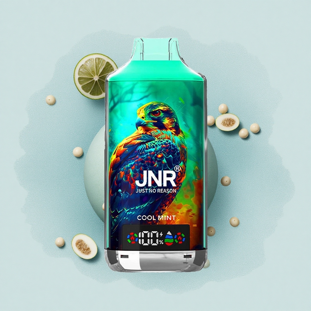 JNR Falcon X 18000 Хладен Ментол 24мл Дуал Мех