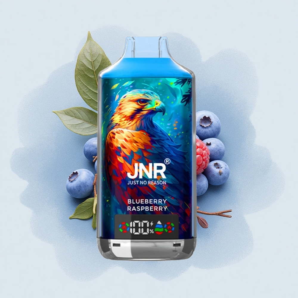 JNR Falcon X 18000 Боровинка Малина Dual Mesh 24ml 750mAh Type-C