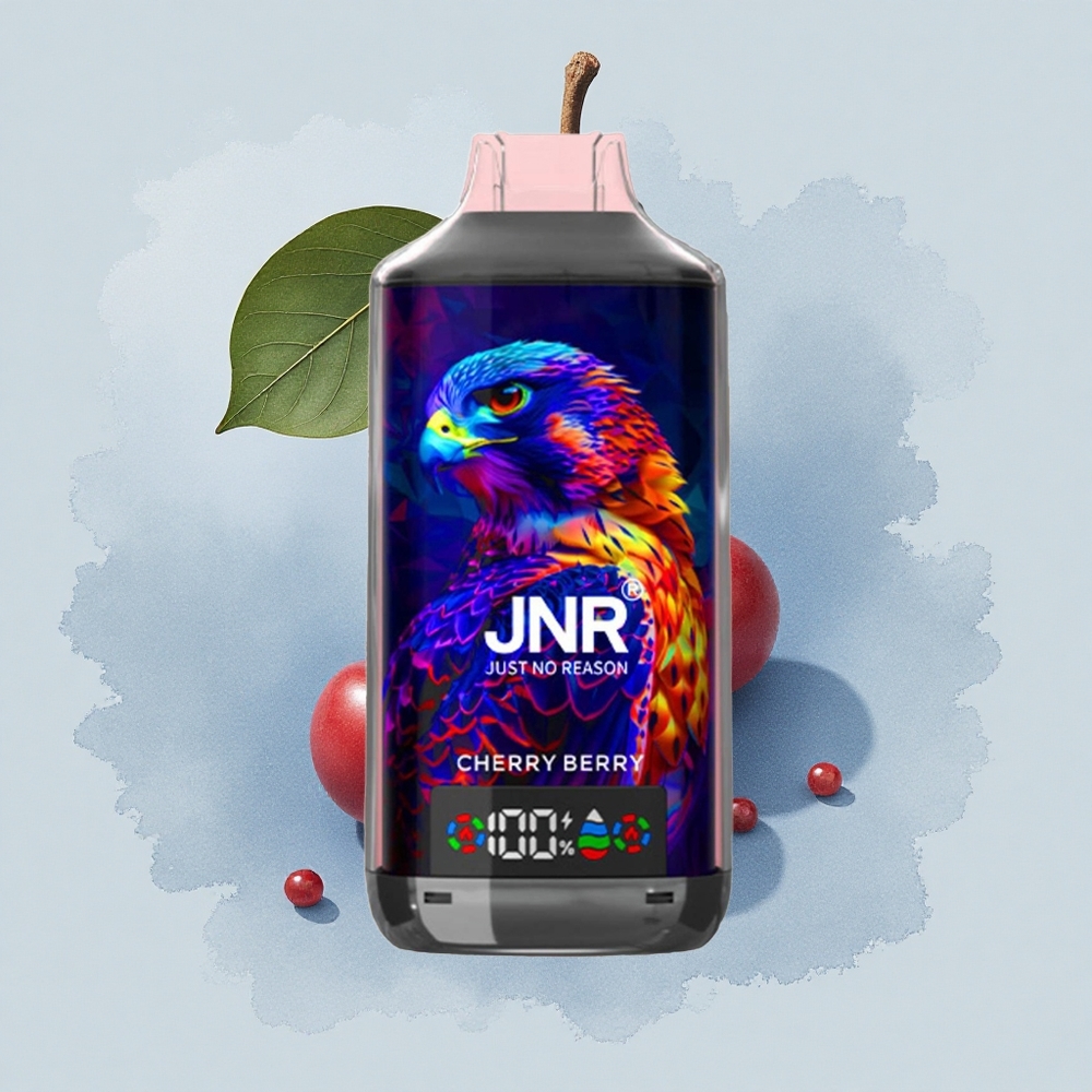 JNR Falcon X 18000 Черешова Боровинка X 18000 Пуфове 24ml Dual Mesh