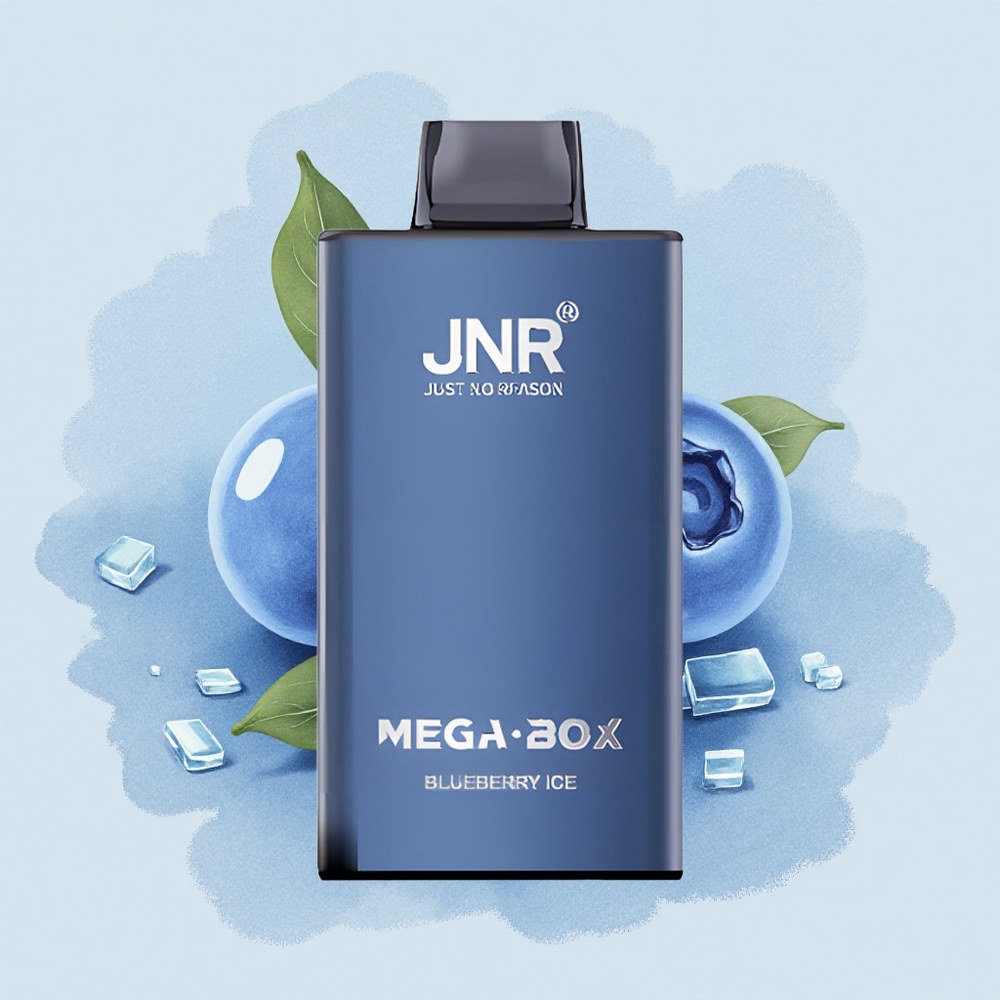 JNR Mega Box 25000 Боровинков Лед 25000 Пуфове 30мл Бърз Заряд