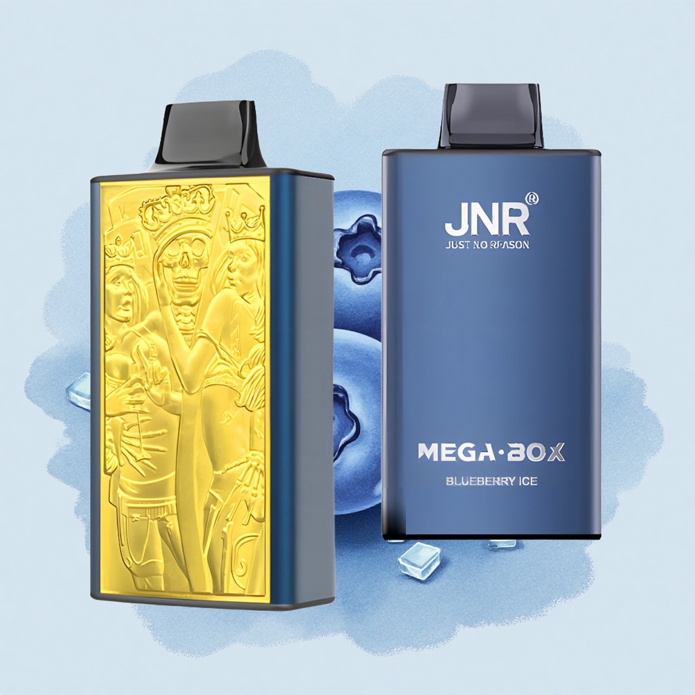 JNR Mega Box 25000 Боровинков Лед 25000 Пуфове 30мл Бърз Заряд