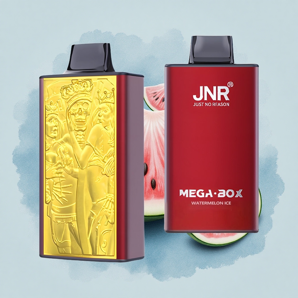JNR Mega Box 25000 Динена Ледена 30мл Двойна Мрежа