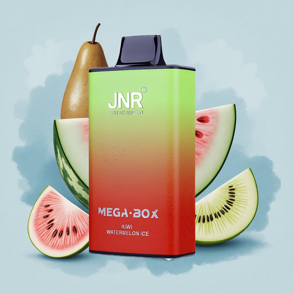 JNR Mega Box 25000 Киви Диня Лед Тип-C Бърз Заряд Двойна Мрежа