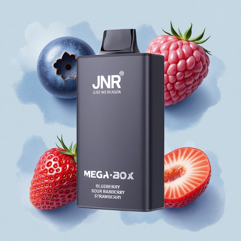 JNR Mega Box 25000 Боровинка Кисела Малина Ягода с Dual Mesh Coil и Type-C бързо зареждане