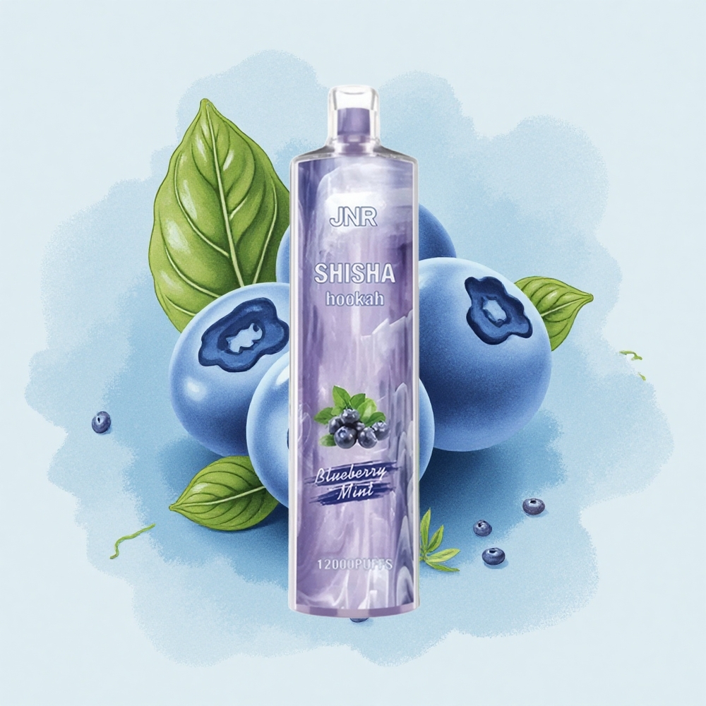 JNR Shisha Hookah 12000 Боровинкова Мента 24мл 750mAh