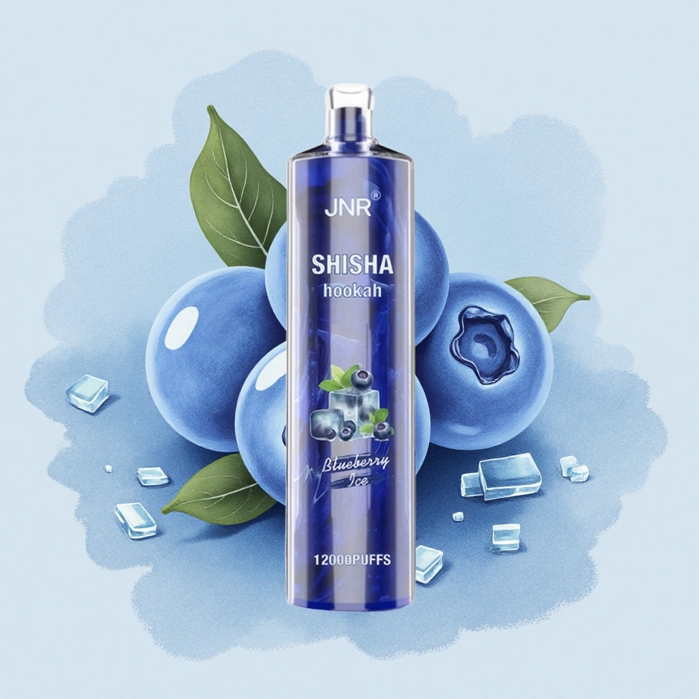 JNR Shisha Hookah 12000 Боровинков Лед 24ml 750mAh